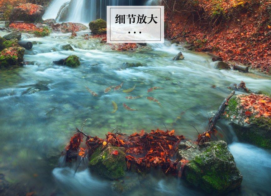 最新郑秀妍唱过韩文版的《爱你》,你觉得她唱的怎么样?热点分享!红迪网平台带你领略前沿话题